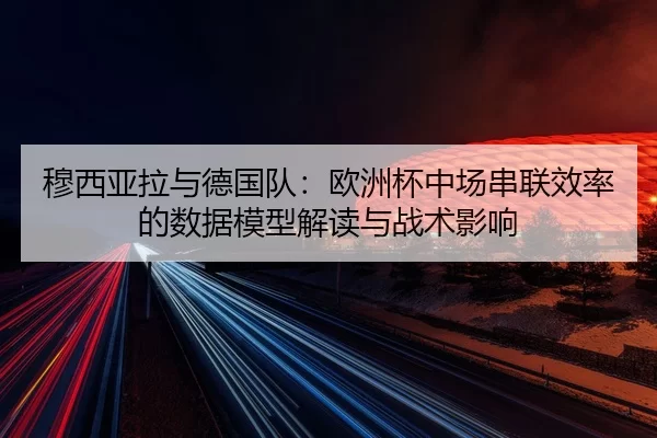 mu-xi-ya-la-yu-de-guo-dui-ou-zhou-bei-zhong-chang-chuan-lian-xiao-lv-de-shu-ju-mo-xing-jie-du-yu-zhan-shu-ying-xiang-2-364.jpg
