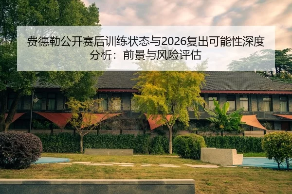 费德勒公开赛后训练状态与2026复出可能性深度分析：前景与风险评估